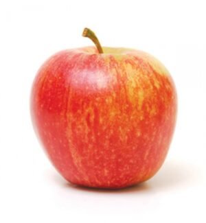 Gala Apple piece