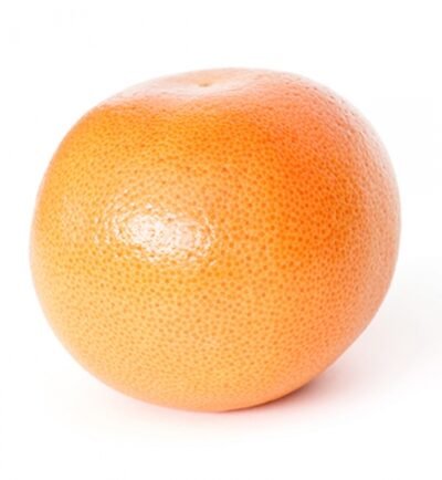 Grapefruit   piece
