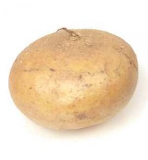 jicama-piece 1.49dl Jicama Piece