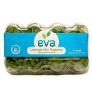 mini-romaine-8pk-6.29dl Mini Romaine lettuce 8 pack