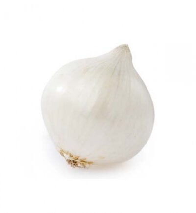 White Onion   piece
